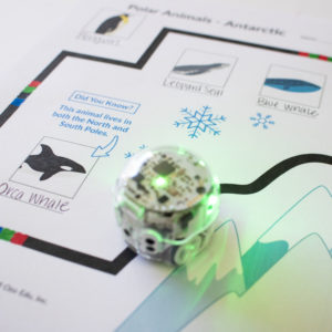 A picture from the Polar Animals STEM activity. Students discover which animals live in the North and South Pole for grades K-2