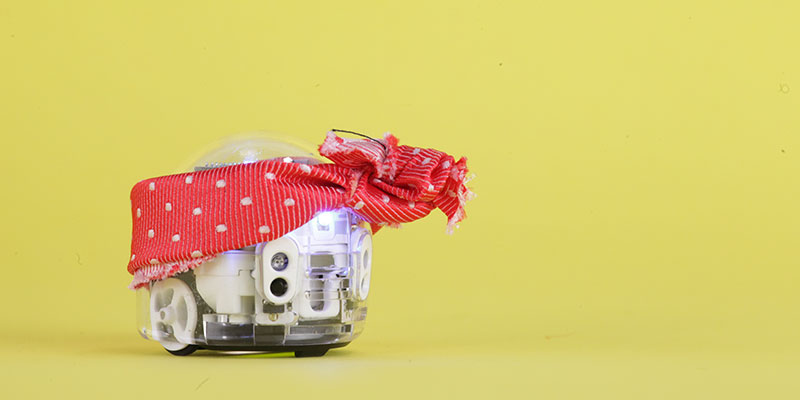 International Women's Day: Girls in STEAM