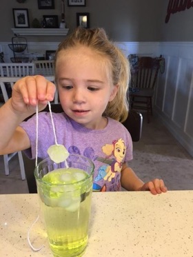 DIY science experiments at home for kids - Fishing for Ice activity
